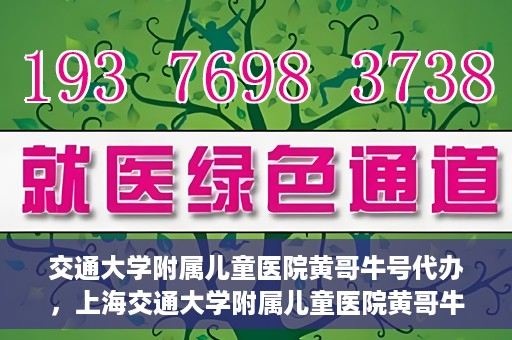 交通大学附属儿童医院黄哥牛号代办，上海交通大学附属儿童医院黄哥牛号代办揭秘，真相与警示