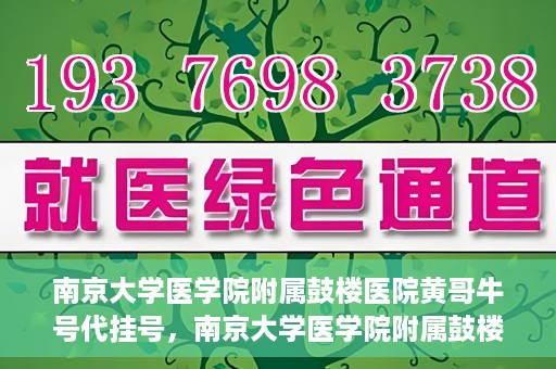 南京大学医学院附属鼓楼医院黄哥牛号代挂号，南京大学医学院附属鼓楼医院黄哥牛号代挂号解析，专业解读与预约攻略