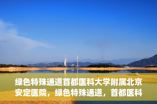 绿色特殊通道首都医科大学附属北京安定医院，绿色特殊通道，首都医科大学附属北京安定医院的探索与实践