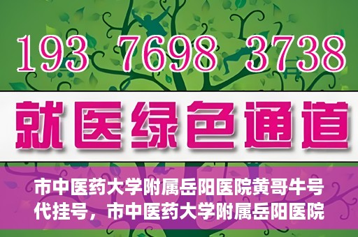 市中医药大学附属岳阳医院黄哥牛号代挂号，市中医药大学附属岳阳医院黄哥牛号代挂号服务解析