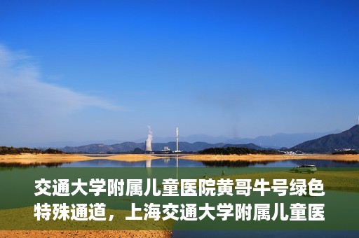 交通大学附属儿童医院黄哥牛号绿色特殊通道，上海交通大学附属儿童医院黄哥牛号绿色特殊通道揭秘