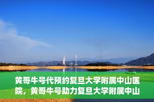 黄哥牛号代预约复旦大学附属中山医院，黄哥牛号助力复旦大学附属中山医院预约服务开启新篇章