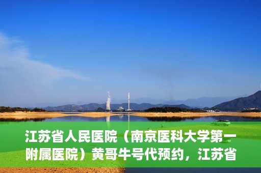 江苏省人民医院（南京医科大学第一附属医院）黄哥牛号代预约，江苏省人民医院（南京医科大学第一附属医院）黄哥牛号预约服务解析