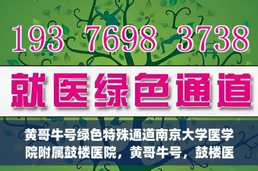 黄哥牛号绿色特殊通道南京大学医学院附属鼓楼医院，黄哥牛号，鼓楼医院开启绿色特殊通道助力健康之路