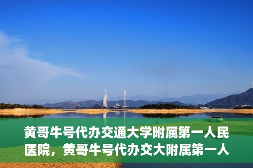黄哥牛号代办交通大学附属第一人民医院，黄哥牛号代办交大附属第一人民医院业务办理攻略
