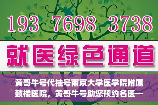 黄哥牛号代挂号南京大学医学院附属鼓楼医院，黄哥牛号助您预约名医——南京鼓楼医院挂号新体验