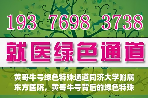 黄哥牛号绿色特殊通道同济大学附属东方医院，黄哥牛号背后的绿色特殊通道，同济大学附属东方医院的探索与实践