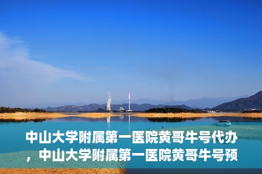 中山大学附属第一医院黄哥牛号代办，中山大学附属第一医院黄哥牛号预约挂号代办攻略
