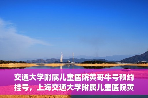 交通大学附属儿童医院黄哥牛号预约挂号，上海交通大学附属儿童医院黄哥牛儿科专家预约挂号攻略