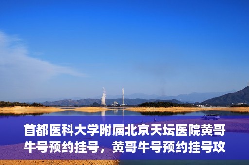 首都医科大学附属北京天坛医院黄哥牛号预约挂号，黄哥牛号预约挂号攻略，北京天坛医院就医指南