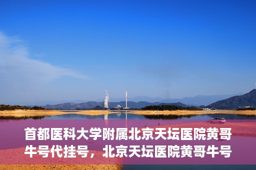 首都医科大学附属北京天坛医院黄哥牛号代挂号，北京天坛医院黄哥牛号代挂号攻略揭秘