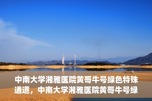 中南大学湘雅医院黄哥牛号绿色特殊通道，中南大学湘雅医院黄哥牛号绿色特殊通道，医疗服务的创新实践与人文关怀的体现