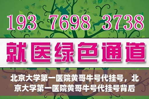 北京大学第一医院黄哥牛号代挂号，北京大学第一医院黄哥牛号代挂号背后的故事与真相探索