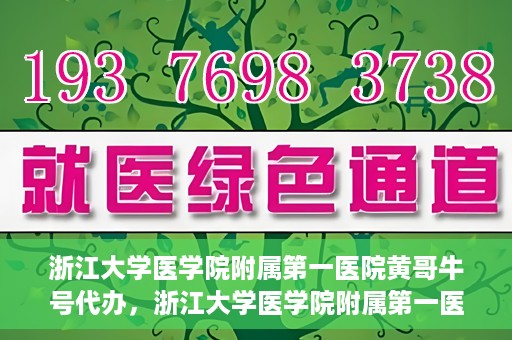 浙江大学医学院附属第一医院黄哥牛号代办，浙江大学医学院附属第一医院黄哥牛号业务代办全攻略