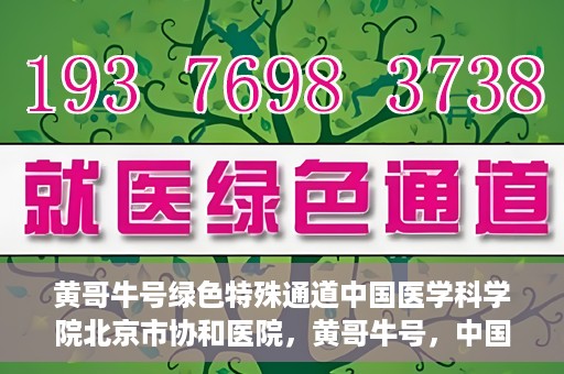 黄哥牛号绿色特殊通道中国医学科学院北京市协和医院，黄哥牛号，中国医学科学院北京市协和医院开启绿色特殊通道助力健康前行