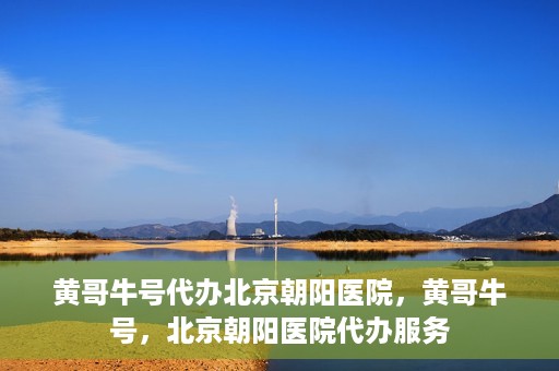 黄哥牛号代办北京朝阳医院，黄哥牛号，北京朝阳医院代办服务