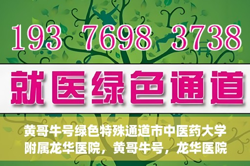 黄哥牛号绿色特殊通道市中医药大学附属龙华医院，黄哥牛号，龙华医院开启绿色特殊通道，倡导中医药文化传承