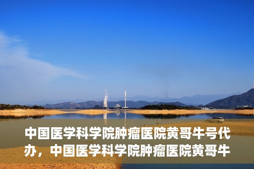 中国医学科学院肿瘤医院黄哥牛号代办，中国医学科学院肿瘤医院黄哥牛号挂号代办服务解析