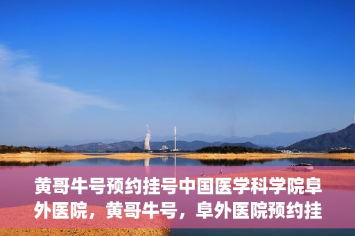 黄哥牛号预约挂号中国医学科学院阜外医院，黄哥牛号，阜外医院预约挂号服务启动，中国医学科学院挂号新体验