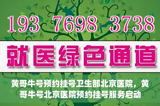 黄哥牛号预约挂号卫生部北京医院，黄哥牛号北京医院预约挂号服务启动