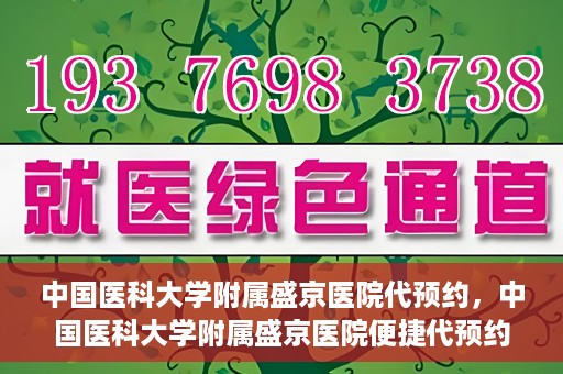 中国医科大学附属盛京医院代预约，中国医科大学附属盛京医院便捷代预约服务解析
