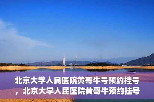 北京大学人民医院黄哥牛号预约挂号，北京大学人民医院黄哥牛预约挂号攻略，轻松预约，便捷就医