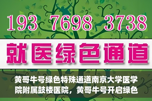 黄哥牛号绿色特殊通道南京大学医学院附属鼓楼医院，黄哥牛号开启绿色特殊通道，鼓楼医院展现医疗新力量