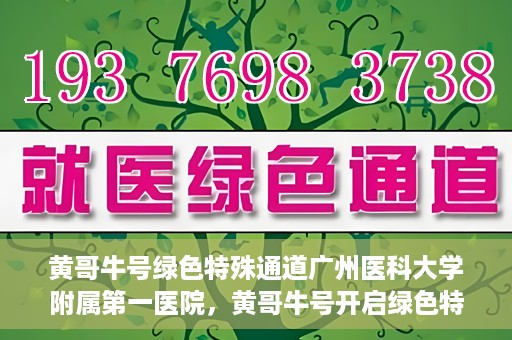 黄哥牛号绿色特殊通道广州医科大学附属第一医院，黄哥牛号开启绿色特殊通道，广州医科大学附属第一医院创新医疗体验