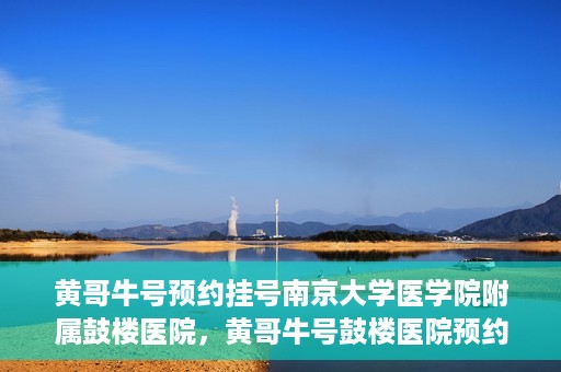 黄哥牛号预约挂号南京大学医学院附属鼓楼医院，黄哥牛号鼓楼医院预约挂号启动，便捷就医新体验