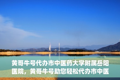 黄哥牛号代办市中医药大学附属岳阳医院，黄哥牛号助您轻松代办市中医药大学附属岳阳医院事务