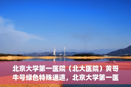 北京大学第一医院（北大医院）黄哥牛号绿色特殊通道，北京大学第一医院绿色特殊通道，黄哥牛号的探索与实践
