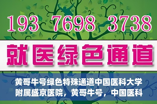 黄哥牛号绿色特殊通道中国医科大学附属盛京医院，黄哥牛号，中国医科大学附属盛京医院开启绿色特殊通道助力医疗进步