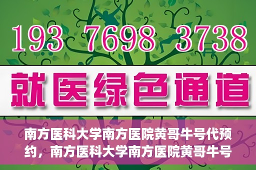 南方医科大学南方医院黄哥牛号代预约，南方医科大学南方医院黄哥牛号预约服务解析