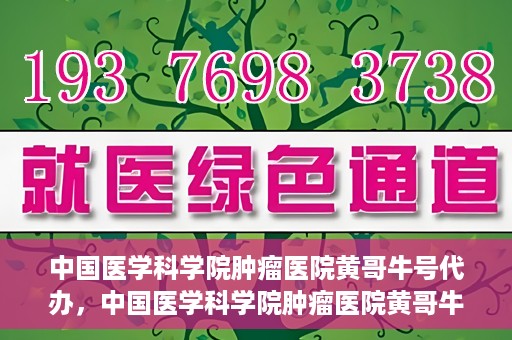 中国医学科学院肿瘤医院黄哥牛号代办，中国医学科学院肿瘤医院黄哥牛号挂号代办服务解析