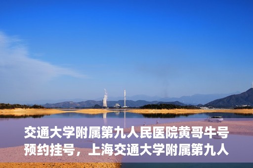 交通大学附属第九人民医院黄哥牛号预约挂号，上海交通大学附属第九人民医院黄哥名医号预约挂号攻略