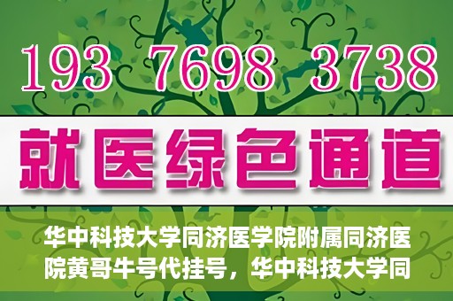 华中科技大学同济医学院附属同济医院黄哥牛号代挂号，华中科技大学同济医院黄哥牛号代挂号背后的故事