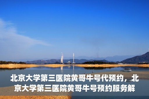 北京大学第三医院黄哥牛号代预约，北京大学第三医院黄哥牛号预约服务解析