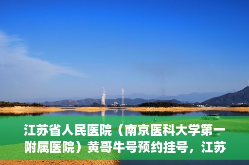 江苏省人民医院（南京医科大学第一附属医院）黄哥牛号预约挂号，江苏省人民医院（南京医科大学第一附属医院）黄哥牛号预约挂号攻略
