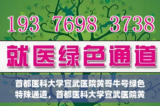 首都医科大学宣武医院黄哥牛号绿色特殊通道，首都医科大学宣武医院黄哥牛号，绿色特殊通道开启健康之门