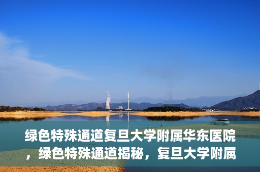 绿色特殊通道复旦大学附属华东医院，绿色特殊通道揭秘，复旦大学附属华东医院的独特之处