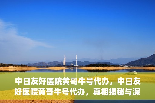 中日友好医院黄哥牛号代办，中日友好医院黄哥牛号代办，真相揭秘与深度解析