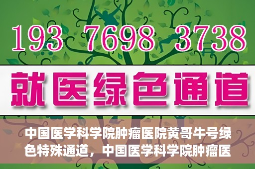 中国医学科学院肿瘤医院黄哥牛号绿色特殊通道，中国医学科学院肿瘤医院黄哥牛号，绿色特殊通道开启健康之门