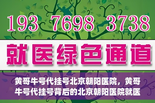 黄哥牛号代挂号北京朝阳医院，黄哥牛号代挂号背后的北京朝阳医院就医现象观察