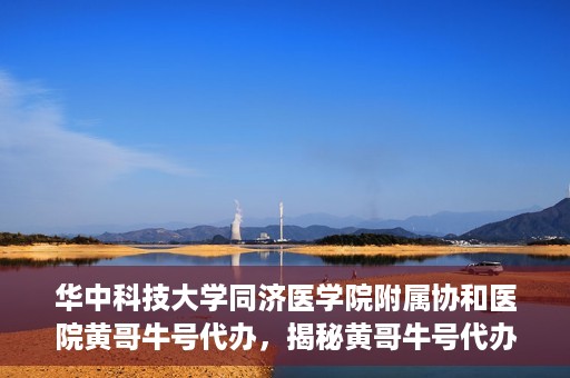 华中科技大学同济医学院附属协和医院黄哥牛号代办，揭秘黄哥牛号代办背后的故事，华中科技大学同济医学院附属协和医院就医新途径探索