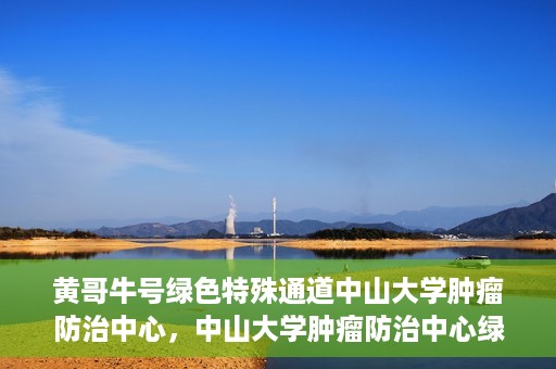 黄哥牛号绿色特殊通道中山大学肿瘤防治中心，中山大学肿瘤防治中心绿色特殊通道，黄哥牛号引领健康新航向