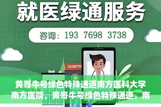 黄哥牛号绿色特殊通道南方医科大学南方医院，黄哥牛号绿色特殊通道，南方医科大学南方医院的探索与实践