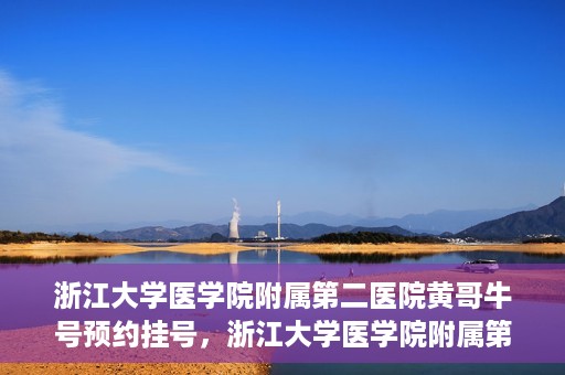 浙江大学医学院附属第二医院黄哥牛号预约挂号，浙江大学医学院附属第二医院黄哥名医牛号预约挂号攻略