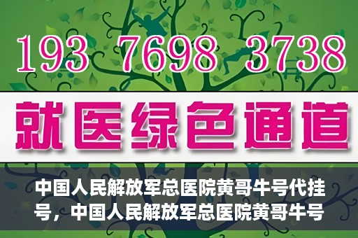 中国人民解放军总医院黄哥牛号代挂号，中国人民解放军总医院黄哥牛号代挂号解析，揭秘挂号背后的故事