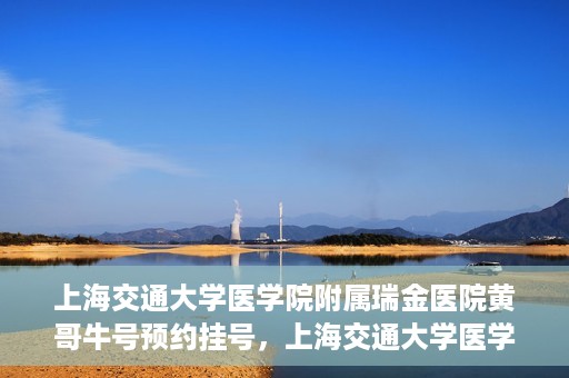 上海交通大学医学院附属瑞金医院黄哥牛号预约挂号，上海交通大学医学院附属瑞金医院黄哥牛号预约挂号攻略详解