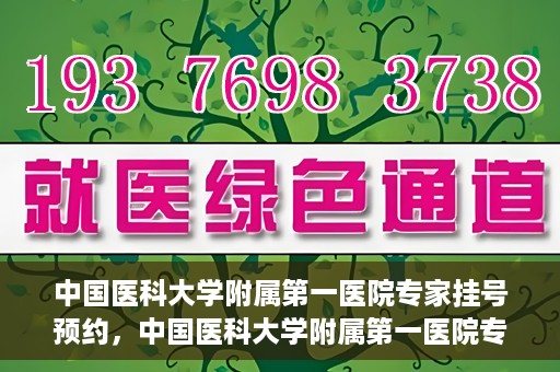中国医科大学附属第一医院专家挂号预约，中国医科大学附属第一医院专家挂号预约攻略，一站式解决您的就医难题